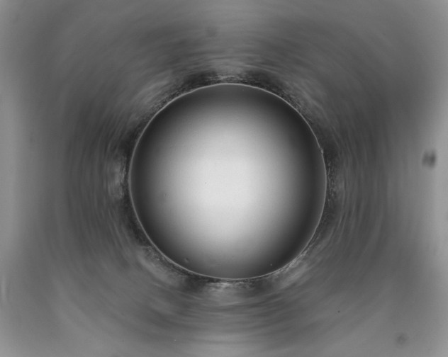 X0000090460082200707201342