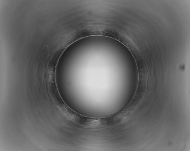 X0000090460083200707201342