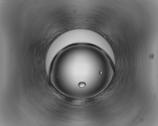 X0000090460084200707201343