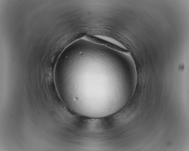 X0000090460085200707201343