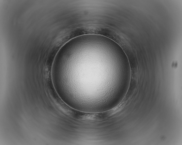 X0000090460086200707201343