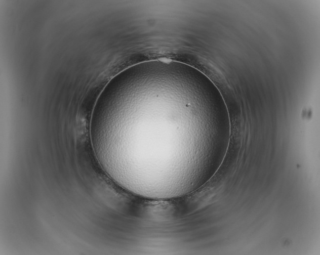 X0000090460087200707201343