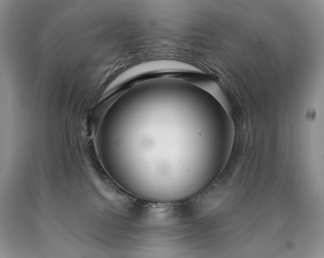 X0000090460088200707201343