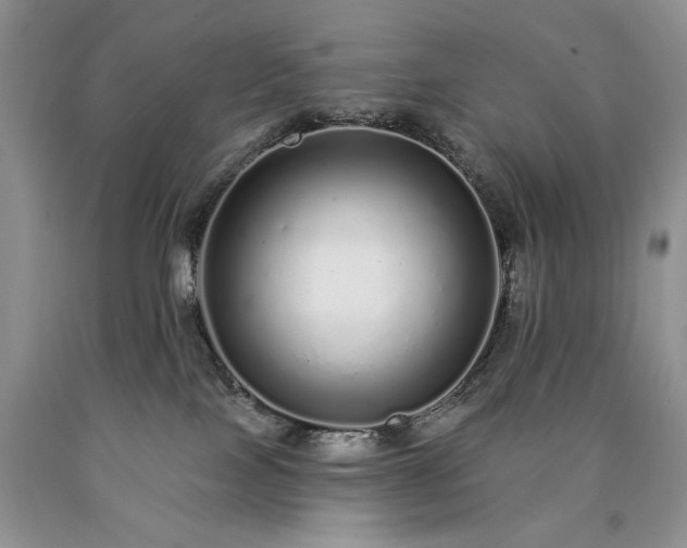 X0000090460089200707201343