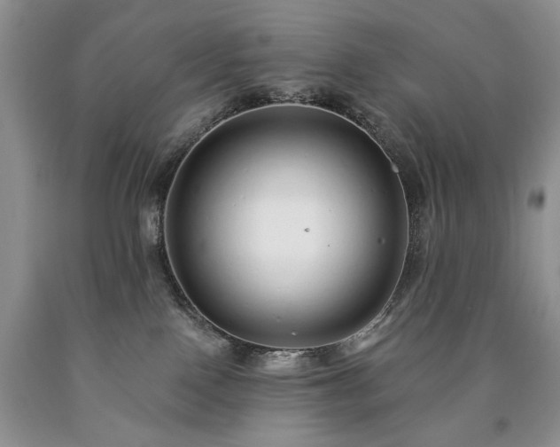 X0000090460090200707201343
