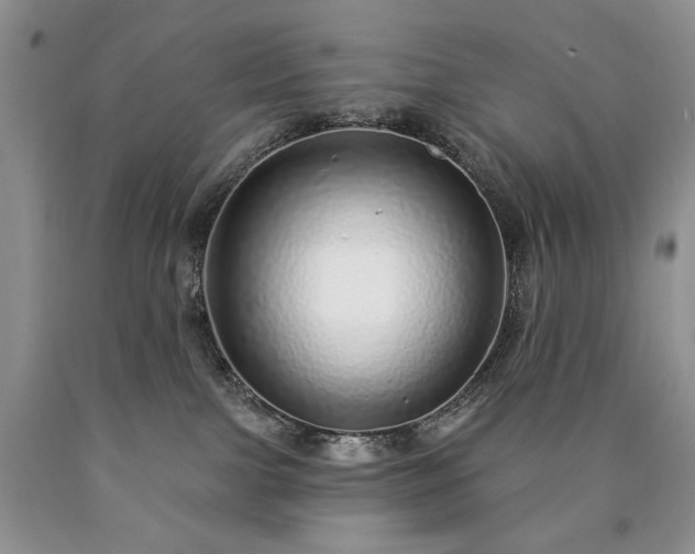 X0000090460091200707201343