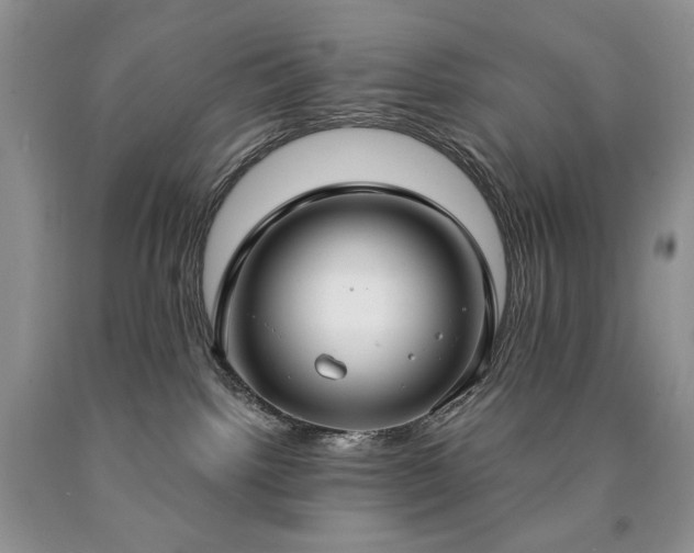 X0000090460092200707201343