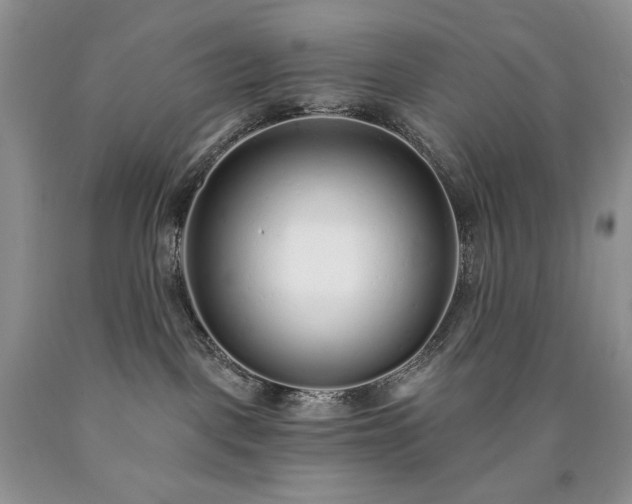 X0000090460093200707201343
