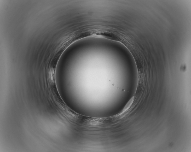 X0000090460094200707201343