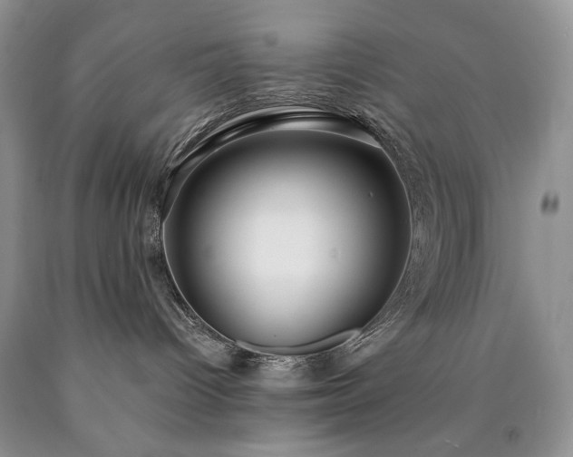 X0000090460096200707201343
