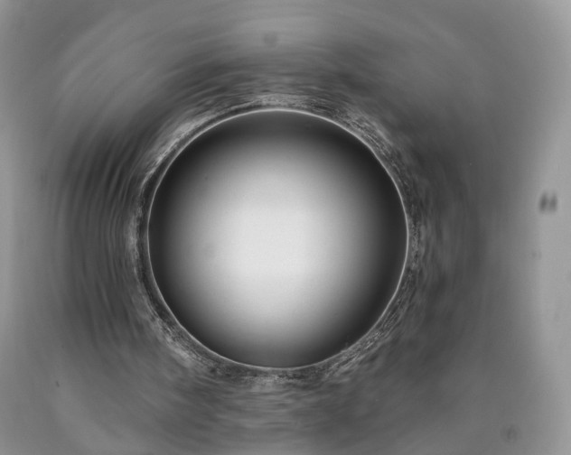 X0000090460098200707201342