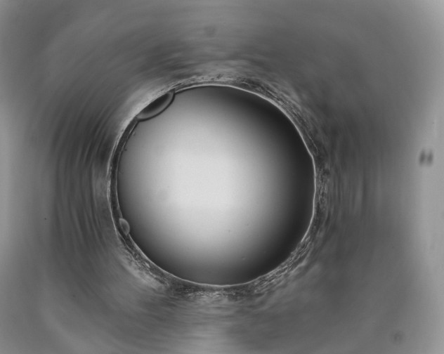 X0000090460100200707201342