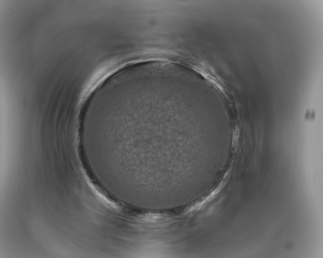 X0000090460101200707201342