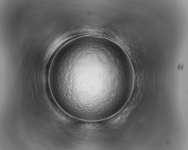 X0000090460103200707201342