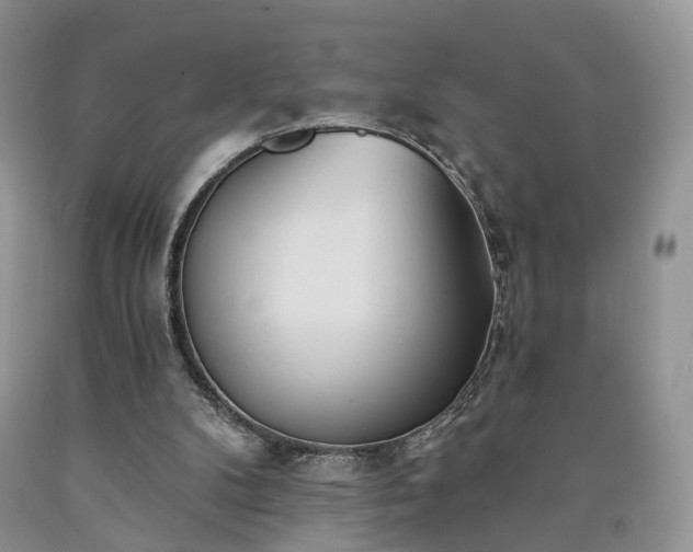 X0000090460104200707201342