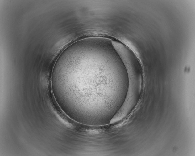 X0000090460105200707201342