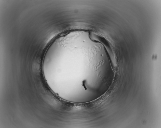 X0000090460111200707201342