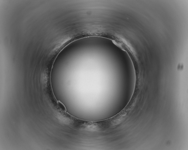X0000090460113200707201342