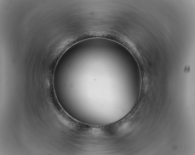 X0000090460114200707201342