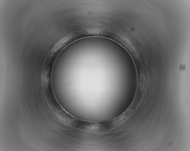 X0000090460116200707201342
