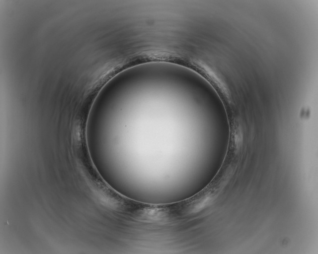 X0000090460117200707201342