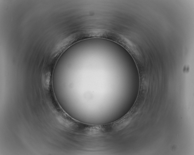 X0000090460118200707201342