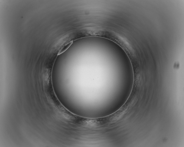 X0000090460121200707201342