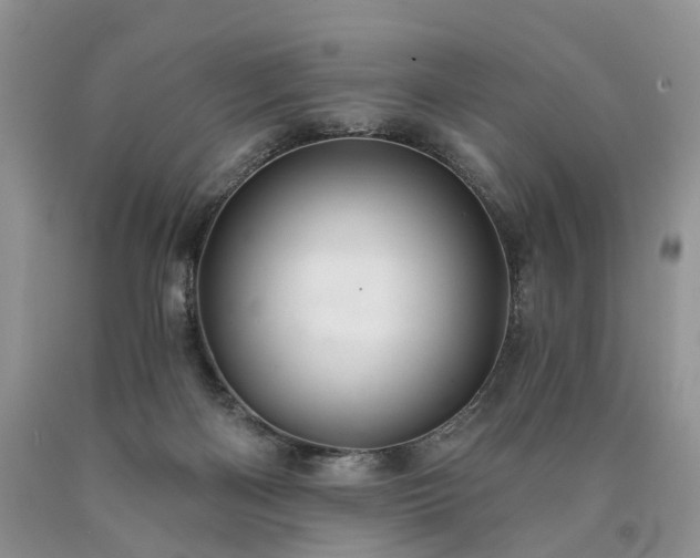 X0000090460122200707201342
