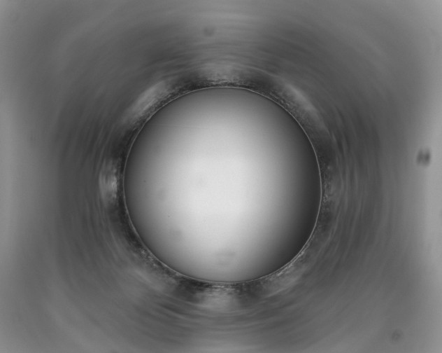 X0000090460124200707201342