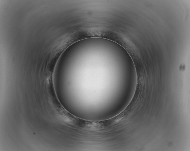 X0000090460125200707201342