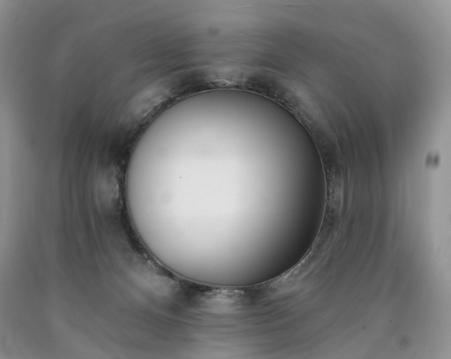 X0000090460128200707201342