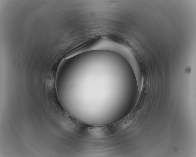 X0000090460129200707201342