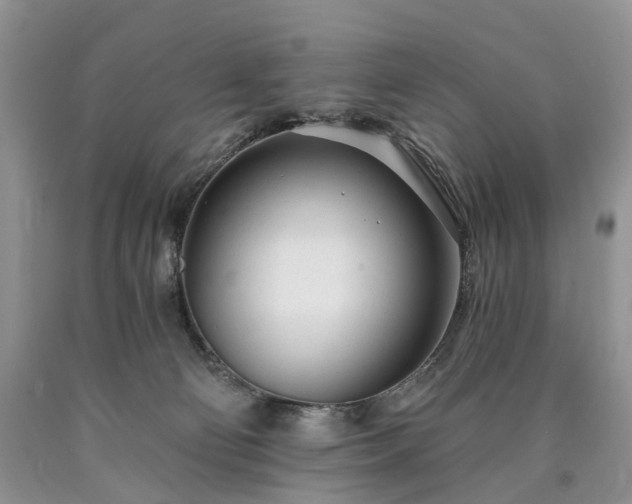 X0000090460130200707201342