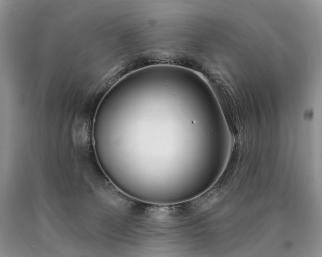 X0000090460131200707201342
