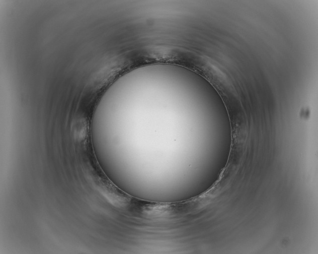 X0000090460132200707201342