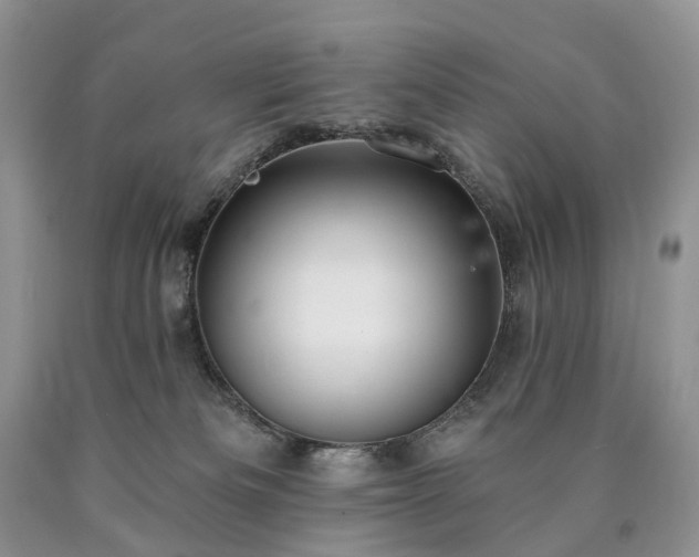 X0000090460133200707201342