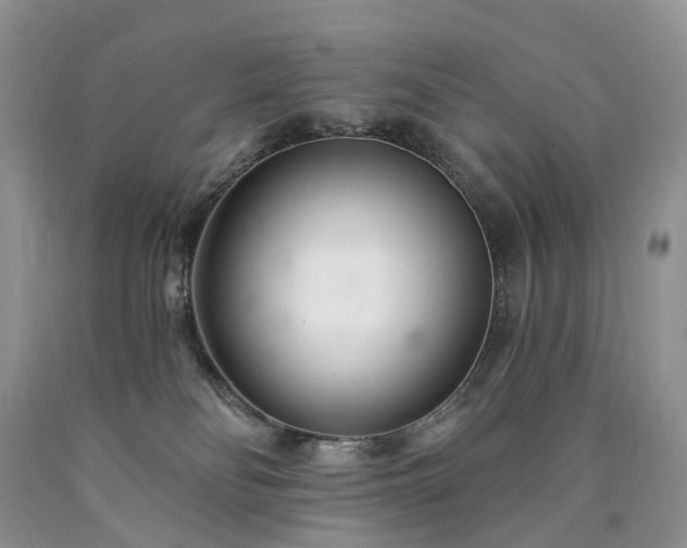 X0000090460134200707201342