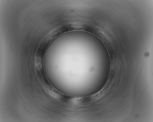 X0000090460136200707201342