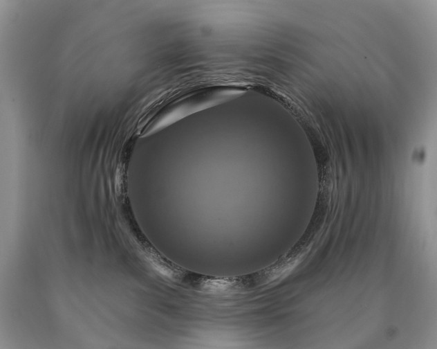 X0000090460139200707201342