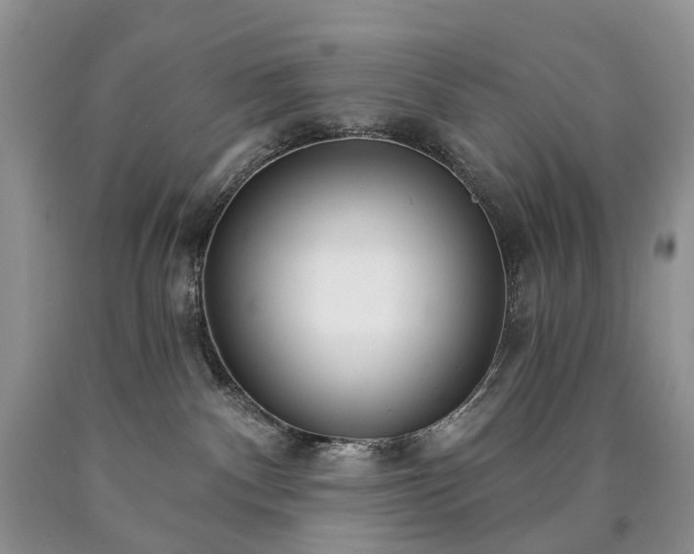 X0000090460140200707201342
