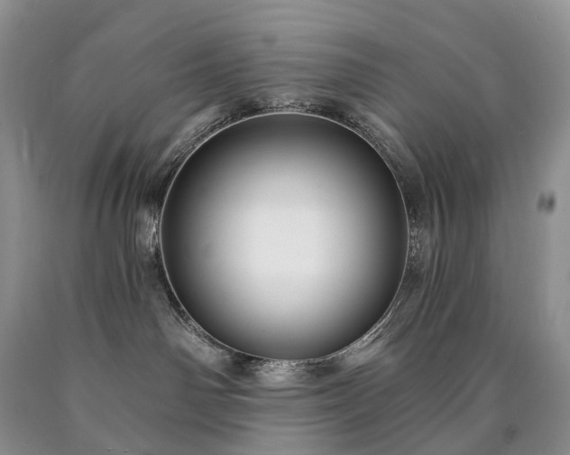 X0000090460142200707201341