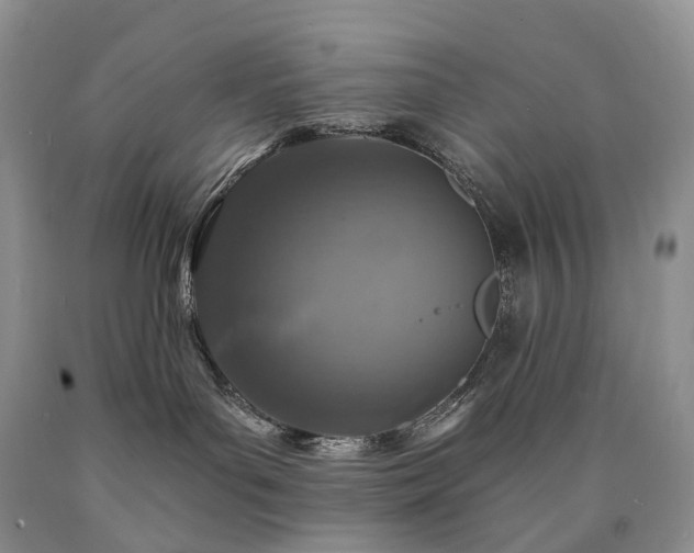 X0000090460143200707201341