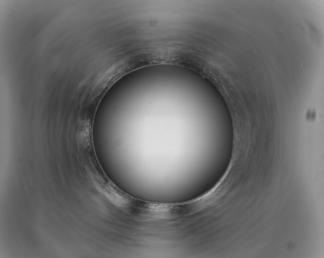 X0000090460144200707201341