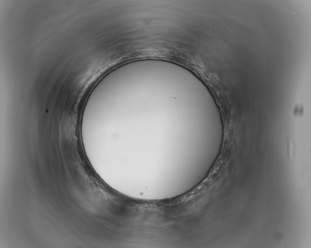 X0000090460146200707201341