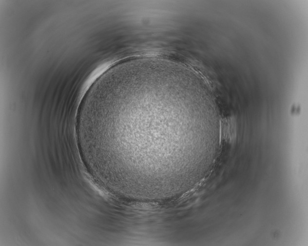 X0000090460147200707201341