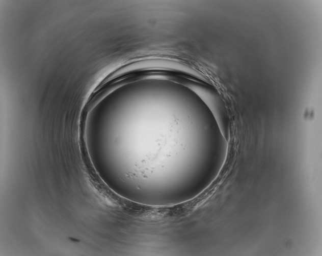 X0000090460148200707201341