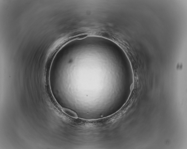 X0000090460149200707201341