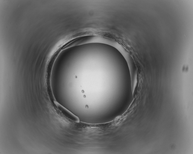 X0000090460150200707201341