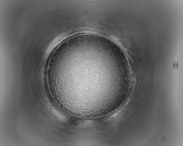 X0000090460151200707201341