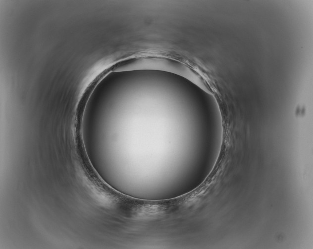 X0000090460152200707201341